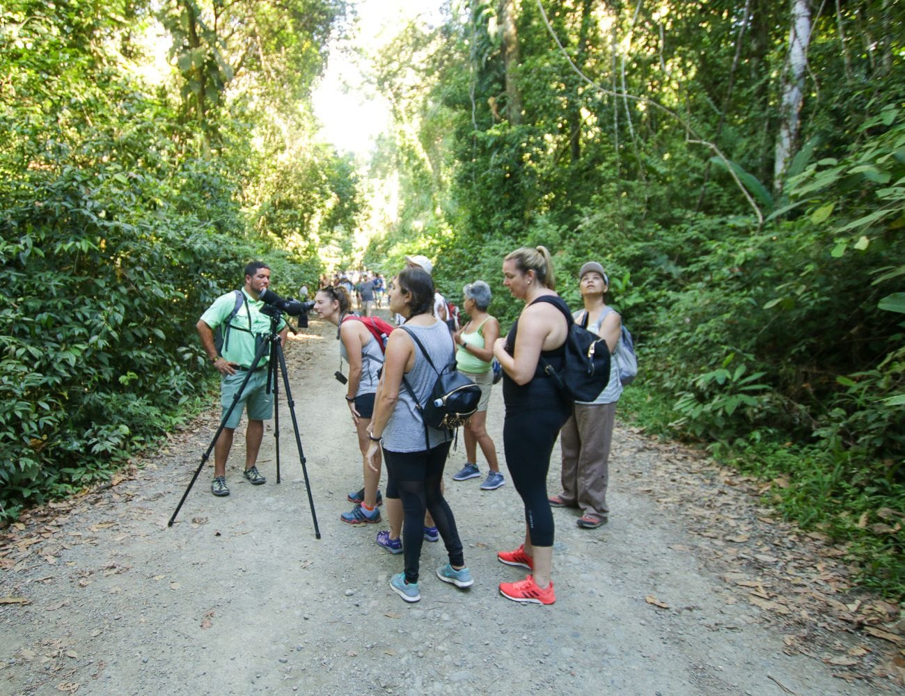 Elecciones en Costa Rica