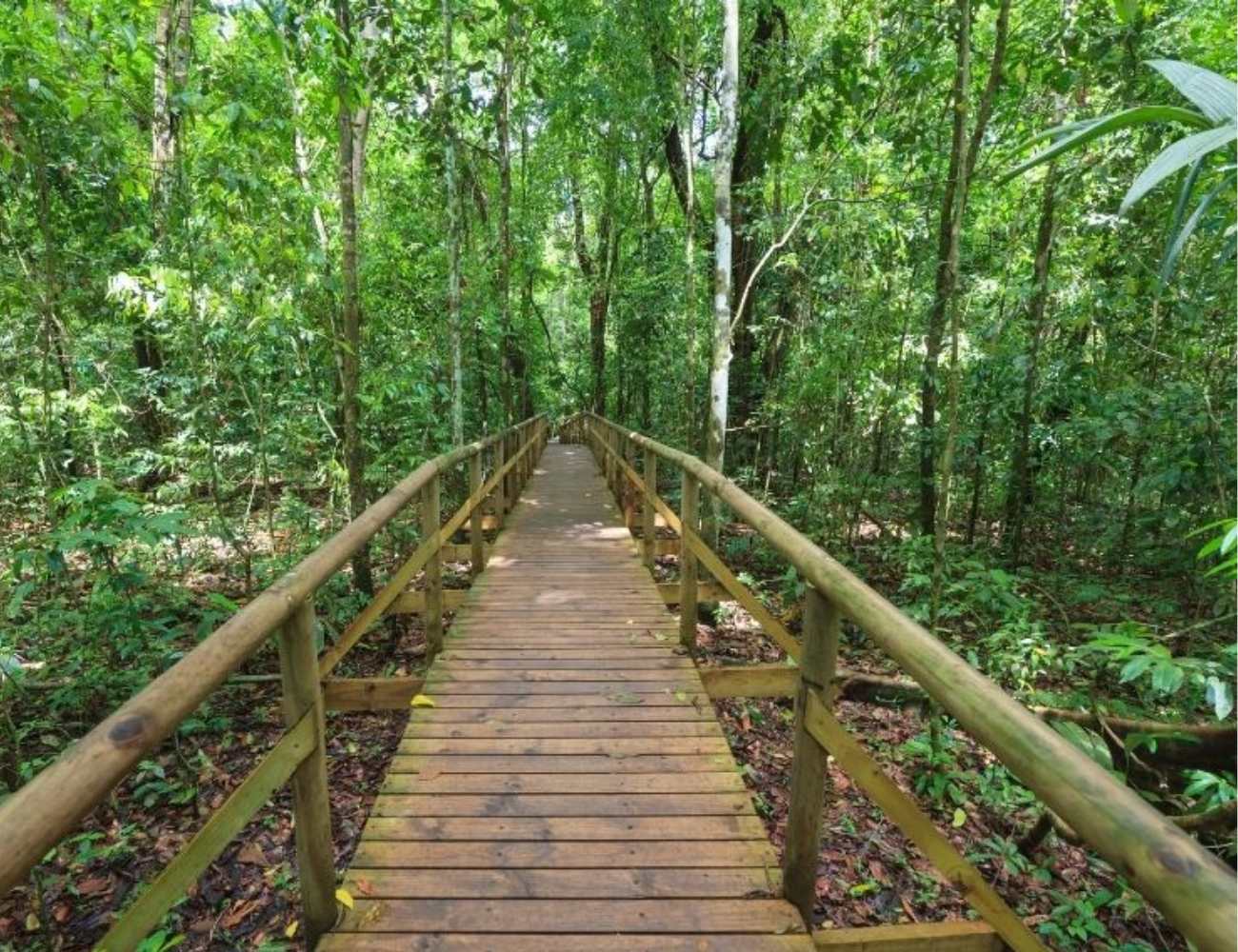 senderismo en Manuel Antonio