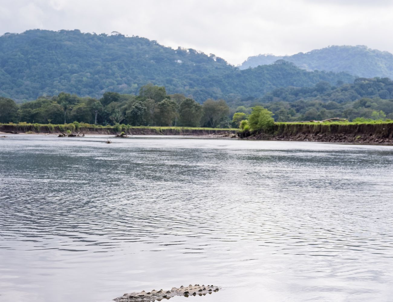 How to get to Manuel Antonio if the Tarcoles bridge is closed? How to get to Manuel Antonio if the Tarcoles bridge is closed? How to get to Manuel Antonio if the Tarcoles bridge is closed? How to get to Manuel Antonio if the Tarcoles bridge is closed?