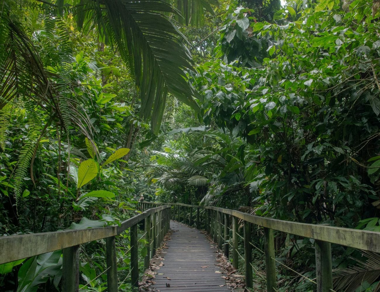 Costa Rica Is A Safe Destination Costa Rica a safe destination