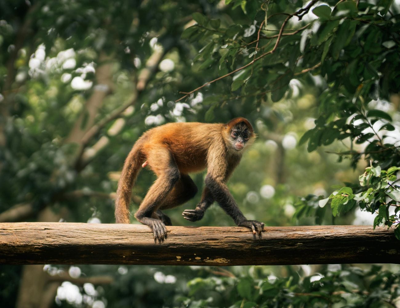 Costa Rica Is A Safe Destination Costa Rica a safe destination