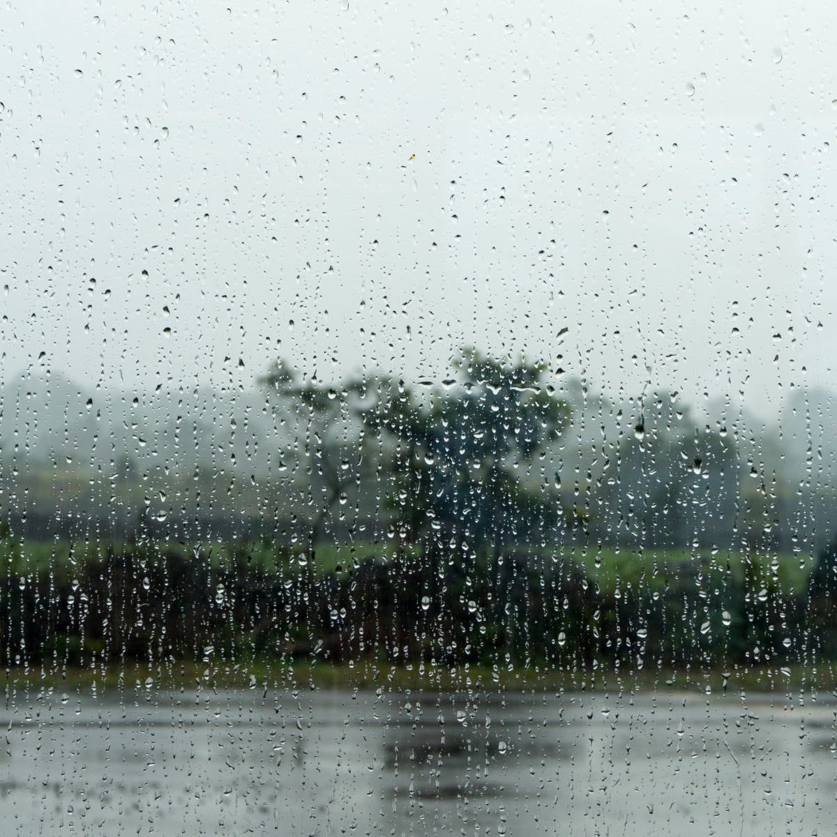 Rainy season in Manuel Antonio Rainy season in Manuel Antonio